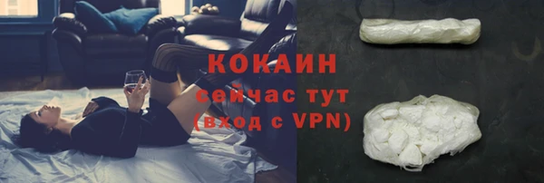 ешки Касимов